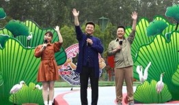 谭德赛最新爆料视频,揭秘事件背后惊人真相